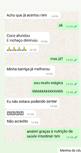 Captura de tela 2024-08-05 141743